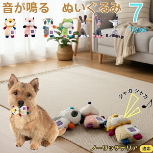 y5{|Cgzm[b`eAiNorwich Terrierj    [vgC Rbg  v ϋv 􂦂 ^ q XgX V ނ Zbg 