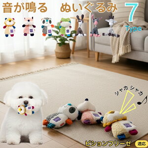 y5{|CgzrVEt[[iBichon Fris?j    [vgC Rbg  v ϋv 􂦂 ^ q XgX V ނ Zbg 