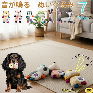 y5{|CgzLoAELOE`[YEXpjG    [vgC Rbg  v ϋv 􂦂 ^ q XgX V ނ