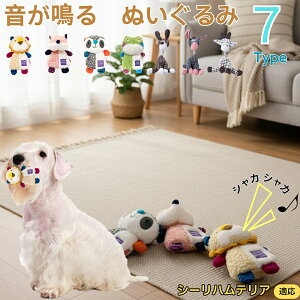 V[neAiSealyham Terrierj    [vgC Rbg  v ϋv 􂦂 ^ q XgX V ނ Zbg Sf v[