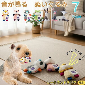 y5{|Cgz[NheA    [vgC Rbg  v ϋv 􂦂 ^ q XgX V ނ Zbg Sf v