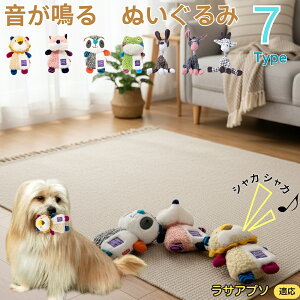 y5{|CgzTEAv\iLhasa Apsoj    [vgC Rbg  v ϋv 􂦂 ^ q XgX V ނ Zbg Sf 