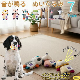 イングリッシュ・スプリンガー・スパニエル犬 おもちゃ 噛む 音が鳴る ロープトイ コットン製 歯磨き効果 丈夫 耐久 洗える 小型犬 子犬 ストレス解消 室内遊び 噛むおもちゃ セット 安全素材 プレゼントに最適 ペット用品