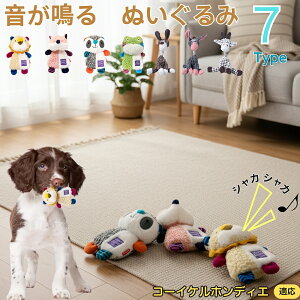 y5{|CgzR[CPzfBG    [vgC Rbg  v ϋv 􂦂 ^ q XgX V ނ Zbg Sf v