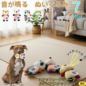 y5{|CgzX^btH[hV[EuEeA    [vgC Rbg  v ϋv 􂦂 ^ q XgX V ނ Zb