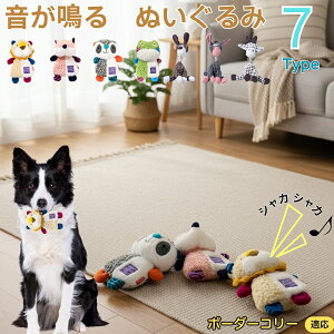 y5{|Cgz{[_[ER[iBorder Colliej    [vgC Rbg  v ϋv 􂦂 ^ q XgX V ނ Zbg 