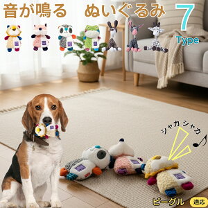 r[OiBeaglej    [vgC Rbg  v ϋv 􂦂 ^ q XgX V ނ Zbg Sf v[gɍœK yb