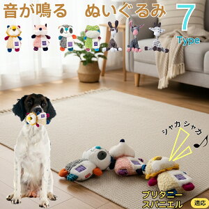 y5{|Cgzu^j[EXpjG    [vgC Rbg  v ϋv 􂦂 ^ q XgX V ނ Zbg Sf 