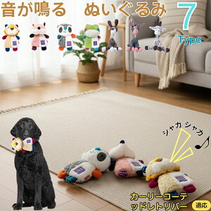 y5{|CgzJ[[R[ebhEgo[i    [vgC Rbg  v ϋv 􂦂 ^ q XgX V ނ Zbg