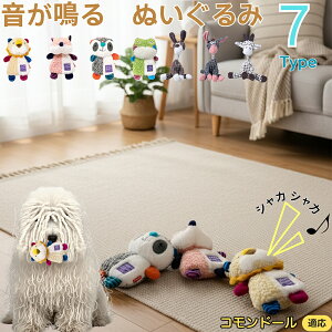 y5{|CgzRh[iKomondorj    [vgC Rbg  v ϋv 􂦂 ^ q XgX V ނ Zbg Sf 