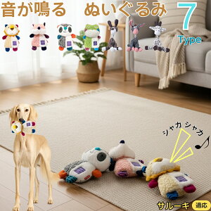 y5{|CgzT[LiSalukij    [vgC Rbg  v ϋv 􂦂 ^ q XgX V ނ Zbg Sf v[