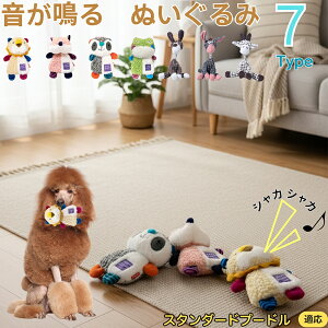 y5{|CgzX^_[hEv[hiStandard Poodlej    [vgC Rbg  v ϋv 􂦂 ^ q XgX V ނ Z