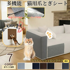 y5{|CgzueBbVOwA British Longhair L ܂Ƃh~V[g  ͂ OK ǎی  \t@ hA  Ƌ  h~ \邾ȒP 唻Jbg\ Scɂ