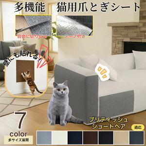 y5{|CgzueBbVV[gwA British Shorthair L ܂Ƃh~V[g  ͂ OK ǎی  \t@ hA  Ƌ  h~ \邾ȒP 唻Jbg\ Sc