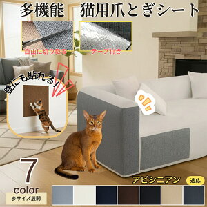 ArVjA Abyssinian L ܂Ƃh~V[g  ͂ OK ǎی  \t@ hA  Ƌ  h~ \邾ȒP 唻Jbg\ Scɂ LpЂ΍ یtB