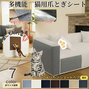 y5{|CgzAJV[gwA American Shorthair L ܂Ƃh~V[g  ͂ OK ǎی  \t@ hA  Ƌ  h~ \邾ȒP 唻Jbg\ Scɂ