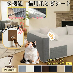 y5{|CgzGL]`bNV[gwA L ܂Ƃh~V[g  ͂ OK ǎی  \t@ hA  Ƌ  h~ \邾ȒP 唻Jbg\ Scɂ LpЂ