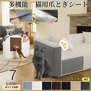 y5{|CgzRbg Korat L ܂Ƃh~V[g  ͂ OK ǎی  \t@ hA  Ƌ  h~ \邾ȒP 唻Jbg\ Scɂ LpЂ΍ ی