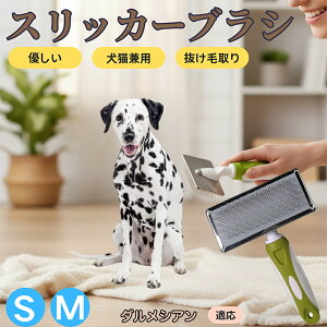 �y5�{�|�C���g�z�_�����V�A���iDalmatian�j �y�b�g�u���V �X���b�J�[�u���V ���L���p �����ю�� �ыʎ�� ��[���` �Z�� ���ёΉ� �L�p ���p ���^�� ���^�� �ې�OK �O���[�~���O �}�b�T�[�W