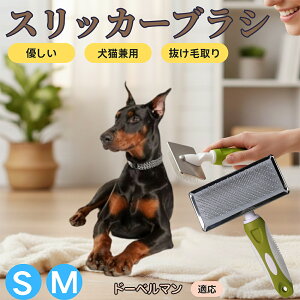 �y5�{�|�C���g�z�h�[�x���}���iDoberman Pinscher�j �y�b�g�u���V �X���b�J�[�u���V ���L���p �����ю�� �ыʎ�� ��[���` �Z�� ���ёΉ� �L�p ���p ���^�� ���^�� �ې�OK �O���[�~���O �}�b