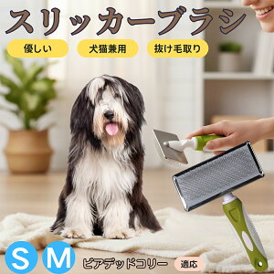 �y5�{�|�C���g�z�r�A�f�b�h�E�R���[�iBearded Collie�j �y�b�g�u���V �X���b�J�[�u���V ���L���p �����ю�� �ыʎ�� ��[���` �Z�� ���ёΉ� �L�p ���p ���^�� ���^�� �ې�OK �O���[�~���O 