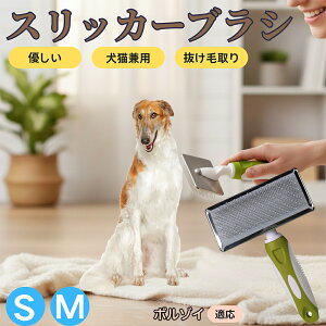 �y5�{�|�C���g�z�{���]�C�iBorzoi�j �y�b�g�u���V �X���b�J�[�u���V ���L���p �����ю�� �ыʎ�� ��[���` �Z�� ���ёΉ� �L�p ���p ���^�� ���^�� �ې�OK �O���[�~���O �}�b�T�[�W�u���V