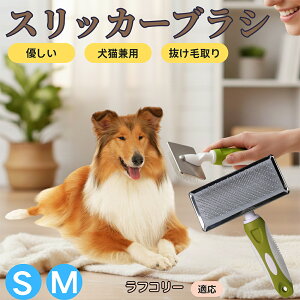 �y5�{�|�C���g�z���t�E�R���[�iRough Collie�j �y�b�g�u���V �X���b�J�[�u���V ���L���p �����ю�� �ыʎ�� ��[���` �Z�� ���ёΉ� �L�p ���p ���^�� ���^�� �ې�OK �O���[�~���O �}�b�T�[