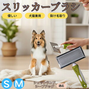 �y5�{�|�C���g�z�V�F�b�g�����h�V�[�v�h�b�O �y�b�g�u���V �X���b�J�[�u���V ���L���p �����ю�� �ыʎ�� ��[���` �Z�� ���ёΉ� �L�p ���p ���^�� ���^�� �ې�OK �O���[�~���O �}�b�T