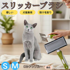 �y5�{�|�C���g�z���V�A���u���[ ���V�A�� Russian Blue �y�b�g�u���V �X���b�J�[�u���V ���L���p �����ю�� �ыʎ�� ��[���` �Z�� ���ёΉ� �L�p ���p ���^�� ���^�� �ې�OK �O���[�~���O 