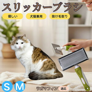 �y5�{�|�C���g�z���K�}�t�B�� RagaMuffin �y�b�g�u���V �X���b�J�[�u���V ���L���p �����ю�� �ыʎ�� ��[���` �Z�� ���ёΉ� �L�p ���p ���^�� ���^�� �ې�OK �O���[�~���O �}�b�T�[�W�u