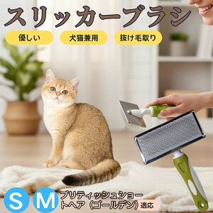 �y5�{�|�C���g�z�u���e�B�b�V���V���[�g�w�A�i�S�[���f���j �y�b�g�u���V �X���b�J�[�u���V ���L���p �����ю�� �ыʎ�� ��[���` �Z�� ���ёΉ� �L�p ���p ���^�� ���^�� �ې�OK �O��