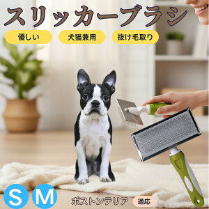 �y5�{�|�C���g�z�{�X�g���e���A�iBoston Terrier�j �y�b�g�u���V �X���b�J�[�u���V ���L���p �����ю�� �ыʎ�� ��[���` �Z�� ���ёΉ� �L�p ���p ���^�� ���^�� �ې�OK �O���[�~���O �}�b