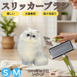 �y5�{�|�C���g�z�G�L�]�`�b�N�����O�w�A Exotic Longhair �y�b�g�u���V �X���b�J�[�u���V ���L���p �����ю�� �ыʎ�� ��[���` �Z�� ���ёΉ� �L�p ���p ���^�� ���^�� �ې�OK �O���[�~���O 