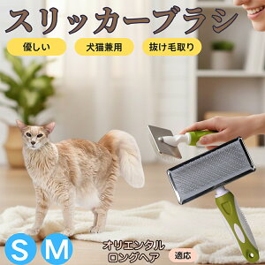 �y5�{�|�C���g�z�I���G���^�������O�w�A Oriental Longhair �y�b�g�u���V �X���b�J�[�u���V ���L���p �����ю�� �ыʎ�� ��[���` �Z�� ���ёΉ� �L�p ���p ���^�� ���^�� �ې�OK �O���[�~��