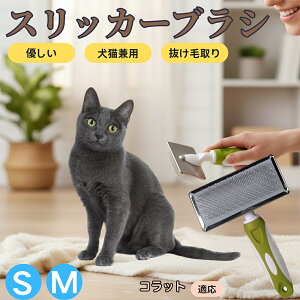 �y5�{�|�C���g�z�R���b�g Korat �y�b�g�u���V �X���b�J�[�u���V ���L���p �����ю�� �ыʎ�� ��[���` �Z�� ���ёΉ� �L�p ���p ���^�� ���^�� �ې�OK �O���[�~���O �}�b�T�[�W�u���V