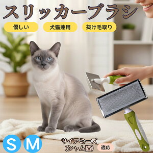 �y5�{�|�C���g�z�T�C�A�~�[�Y �V�����L Siamese �y�b�g�u���V �X���b�J�[�u���V ���L���p �����ю�� �ыʎ�� ��[���` �Z�� ���ёΉ� �L�p ���p ���^�� ���^�� �ې�OK �O���[�~���O �}�b�T