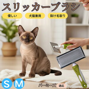 y5{|Cgzo[~[Y Burmese ybguV XbJ[uV Lp ю ыʎ [` Z ёΉ Lp p ^ ^ ېOK O[~O }bT[WuV