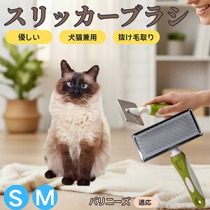 �y5�{�|�C���g�z�o���j�[�Y Balinese �y�b�g�u���V �X���b�J�[�u���V ���L���p �����ю�� �ыʎ�� ��[���` �Z�� ���ёΉ� �L�p ���p ���^�� ���^�� �ې�OK �O���[�~���O �}�b�T�[�W�u���V