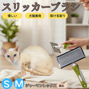 W[}bNX German Rex ybguV XbJ[uV Lp ю ыʎ [` Z ёΉ Lp p ^ ^ ېOK O[~O }bT[WuV