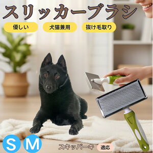 �y5�{�|�C���g�z�X�L�b�p�[�L�i schipperke �j �y�b�g�u���V �X���b�J�[�u���V ���L���p �����ю�� �ыʎ�� ��[���` �Z�� ���ёΉ� �L�p ���p ���^�� ���^�� �ې�OK �O���[�~���O �}�b�T�[