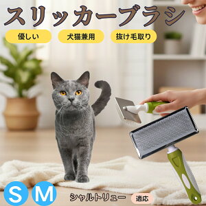 �y5�{�|�C���g�z�V�����g�����[ Chartreux �y�b�g�u���V �X���b�J�[�u���V ���L���p �����ю�� �ыʎ�� ��[���` �Z�� ���ёΉ� �L�p ���p ���^�� ���^�� �ې�OK �O���[�~���O �}�b�T�[�W�u