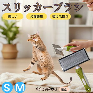 �y5�{�|�C���g�z�Z�����Q�e�B Serengeti Cat �y�b�g�u���V �X���b�J�[�u���V ���L���p �����ю�� �ыʎ�� ��[���` �Z�� ���ёΉ� �L�p ���p ���^�� ���^�� �ې�OK �O���[�~���O �}�b�T�[�W