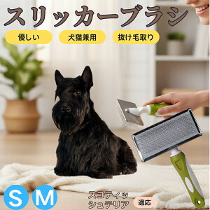 �y5�{�|�C���g�z�X�R�e�B�b�V���e���A�iScottish Terrier�j �y�b�g�u���V �X���b�J�[�u���V ���L���p �����ю�� �ыʎ�� ��[���` �Z�� ���ёΉ� �L�p ���p ���^�� ���^�� �ې�OK �O���[�~��