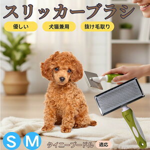 ^Cj[v[hiTiny Poodlej ybguV XbJ[uV Lp ю ыʎ [` Z ёΉ Lp p ^ ^ ېOK O[~O }bT[WuV