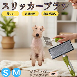 �y5�{�|�C���g�z���C���[�t�H�b�N�X�e���A�iWire Fox Terrier�j �y�b�g�u���V �X���b�J�[�u���V ���L���p �����ю�� �ыʎ�� ��[���` �Z�� ���ёΉ� �L�p ���p ���^�� ���^�� �ې�OK �O���[