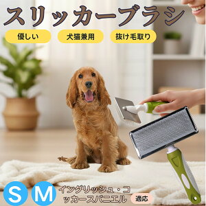 �y5�{�|�C���g�z�C���O���b�V���E�R�b�J�[�E�X�p�j�G�� �y�b�g�u���V �X���b�J�[�u���V ���L���p �����ю�� �ыʎ�� ��[���` �Z�� ���ёΉ� �L�p ���p ���^�� ���^�� �ې�OK �O���[�~