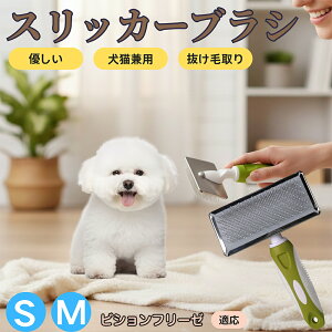 �y5�{�|�C���g�z�r�V�����E�t���[�[�iBichon Fris?�j �y�b�g�u���V �X���b�J�[�u���V ���L���p �����ю�� �ыʎ�� ��[���` �Z�� ���ёΉ� �L�p ���p ���^�� ���^�� �ې�OK �O���[�~���O �}