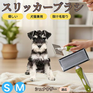 �y5�{�|�C���g�z�V���i�E�U�[�iMiniature Schnauzer�j �y�b�g�u���V �X���b�J�[�u���V ���L���p �����ю�� �ыʎ�� ��[���` �Z�� ���ёΉ� �L�p ���p ���^�� ���^�� �ې�OK �O���[�~���O �}�b