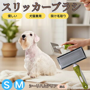 �y5�{�|�C���g�z�V�[���n���e���A�iSealyham Terrier�j �y�b�g�u���V �X���b�J�[�u���V ���L���p �����ю�� �ыʎ�� ��[���` �Z�� ���ёΉ� �L�p ���p ���^�� ���^�� �ې�OK �O���[�~���O �}