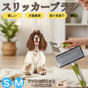 y5{|CgzAJERbJ[EXpjG ybguV XbJ[uV Lp ю ыʎ [` Z ёΉ Lp p ^ ^ ېOK O[~O 